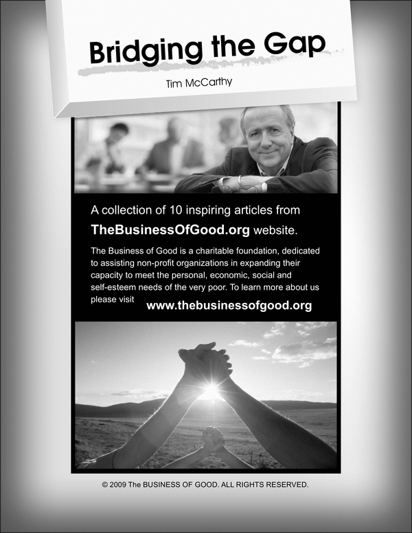 Product picture Bridging The Gap!